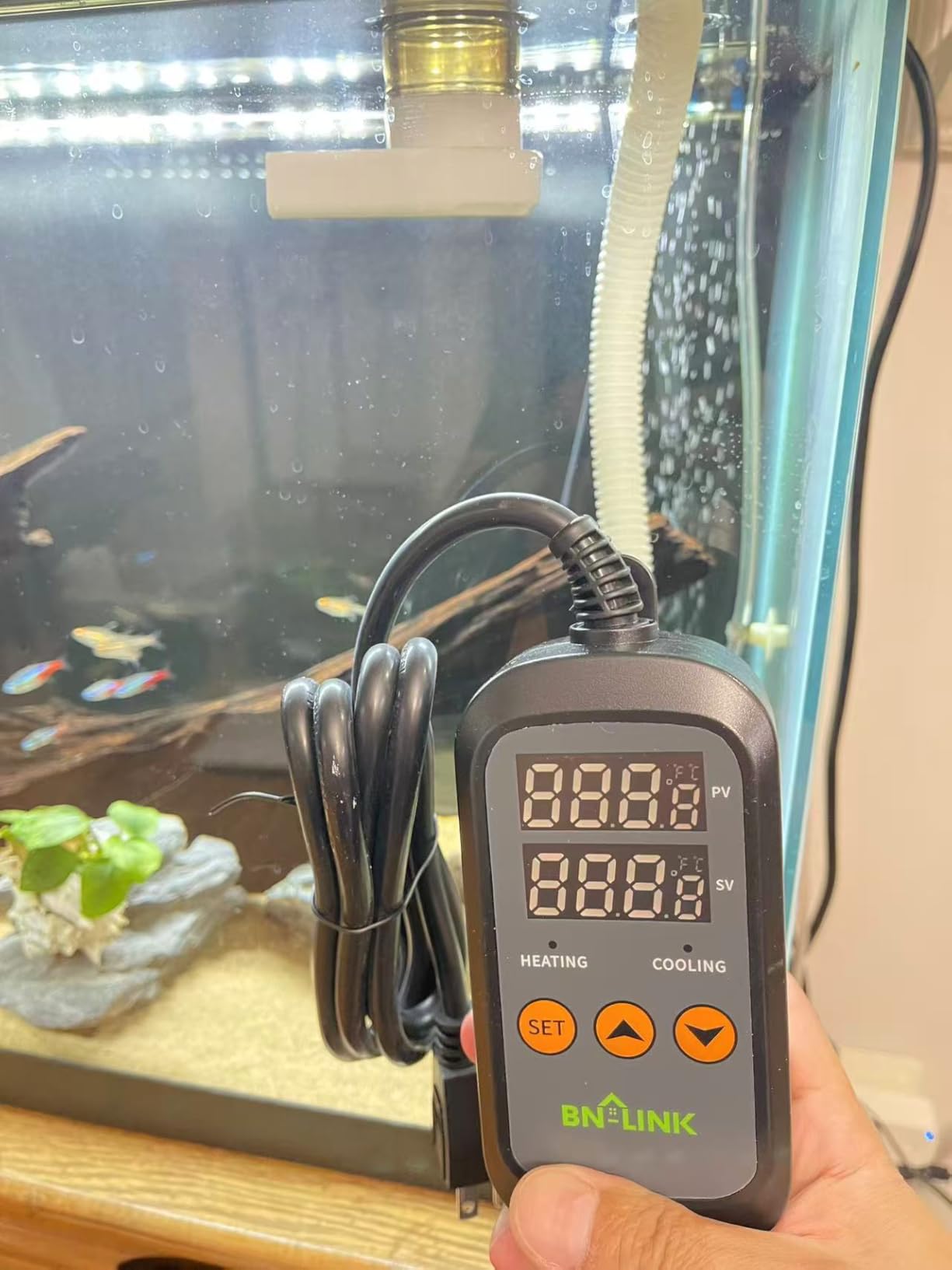 BN-LINK Digital Temperature Controller Heating Cooling 2-Stage Outlet Thermostat Controller Plug for Reptiles Aquarium Carboy Homebrew Breeding Fermenter Seed Germination °C/°F -40-176°F 15A/1875W customer photo 1