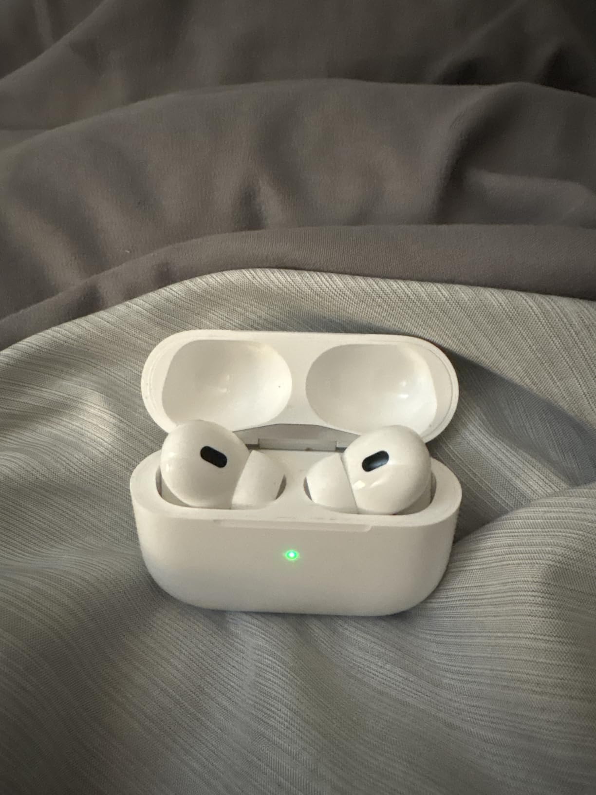 Apple AirPods Pro customer photo 2