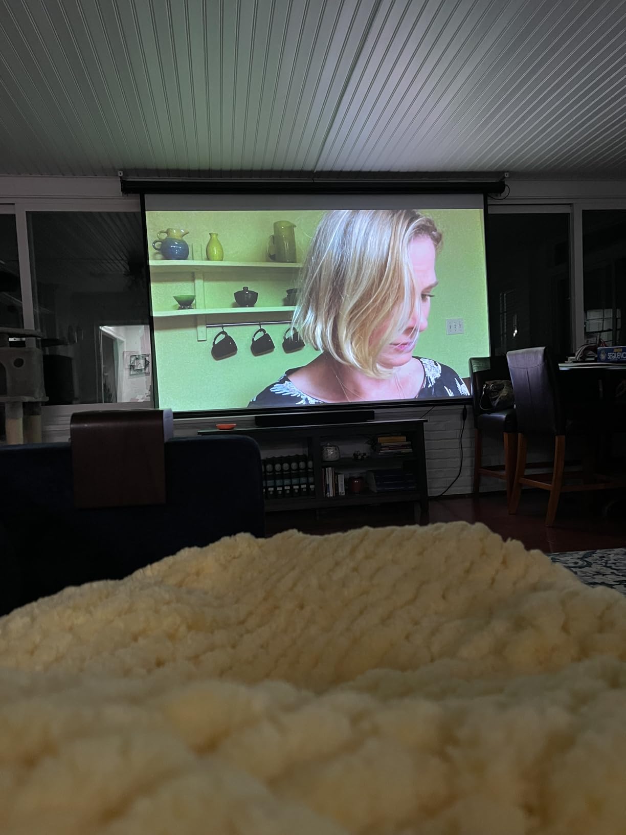 Motorized Projector Screen - Indoor and Outdoor Movies Screen Electric Projector Screen W/Remote Control (120 inch) customer photo 2