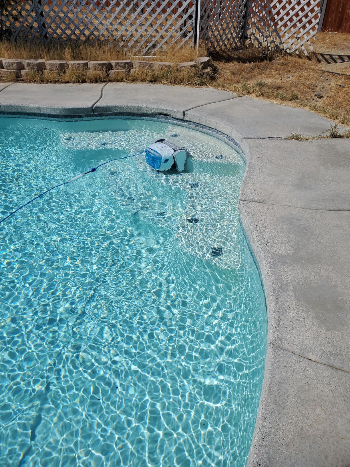 Dolphin Proteus DX3 Automatic Robotic Pool Vacuum Cleaner, Wall Climbing, Active Scrubber Brush, Ideal for In-ground Pools up to 33 FT in Length customer photo 2