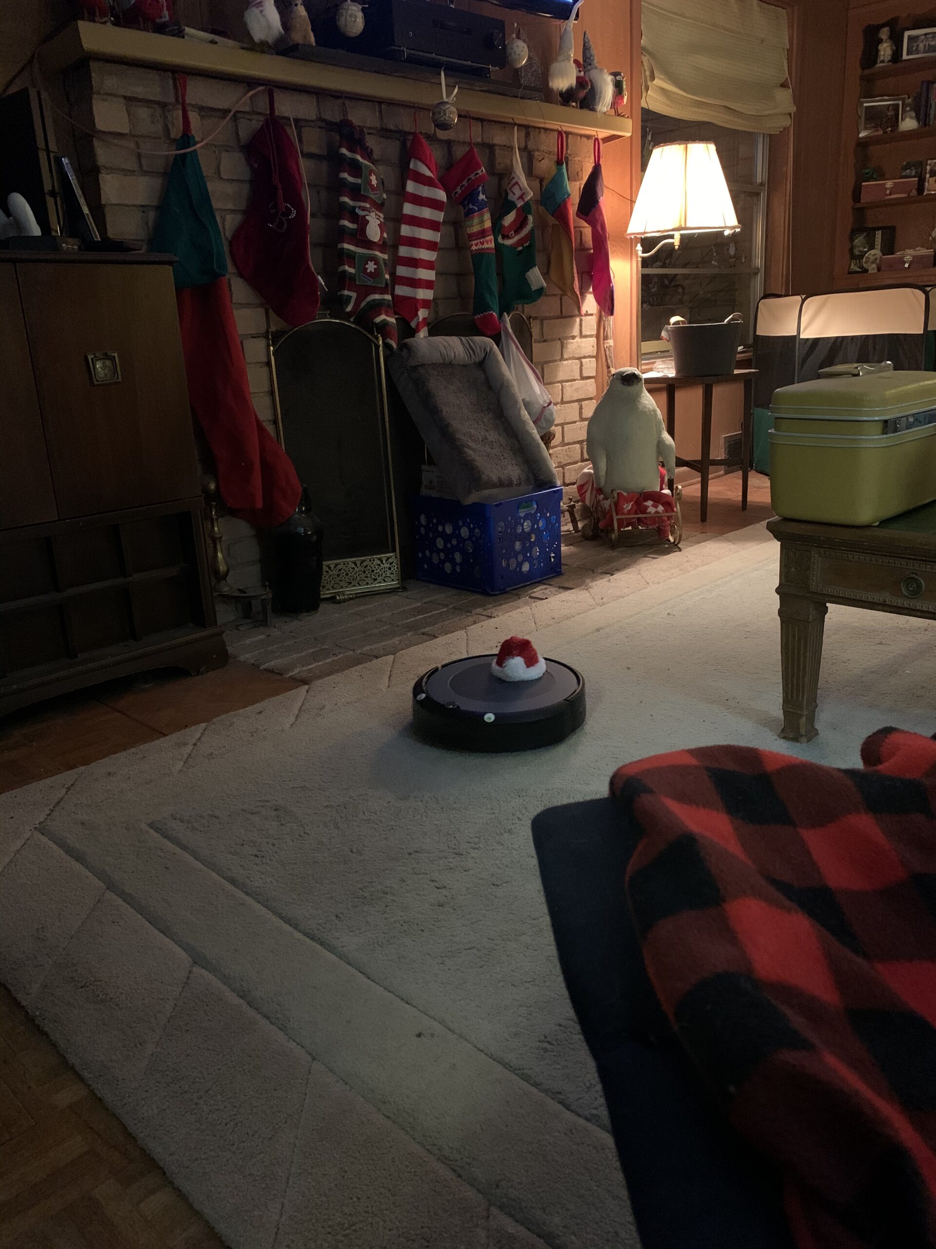 Roomba i3+ EVO (3550) Self-Emptying Robot Vacuum - Now Clean by Room with Smart Mapping, Empties Itself for Up to 60 Days customer photo 1