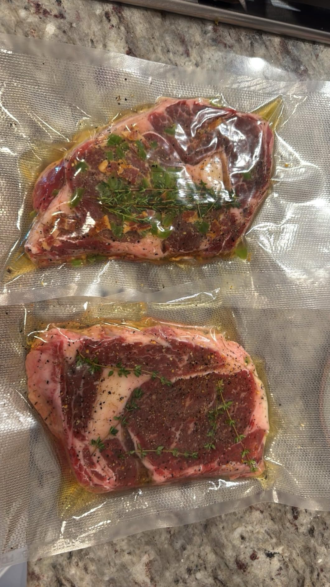 VacMaster VP95 Chamber Vacuum Sealer with Industrial Oil Pump. Great for Portioning, Meal Prep, Restaurants, Catering, Food Trucks, Sous Vide, Home. Great for Dry Goods, Liquids and Marinades. customer photo 2