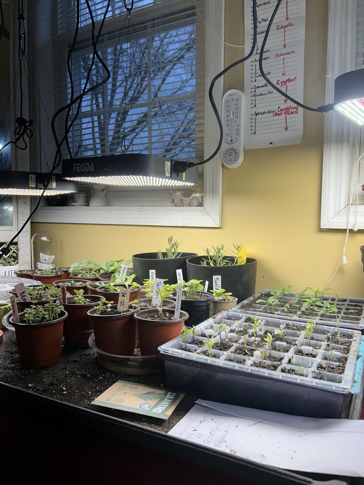 FECiDA 1200W Equivalent LED Grow Light, 130 Watt Power Draw Full Spectrum Grow Lights for Seed Starting, Seedlings, Veg, Bloom, 0-100% Dimmable, Daisy Chain, Quiet Cooling Fan customer photo 1