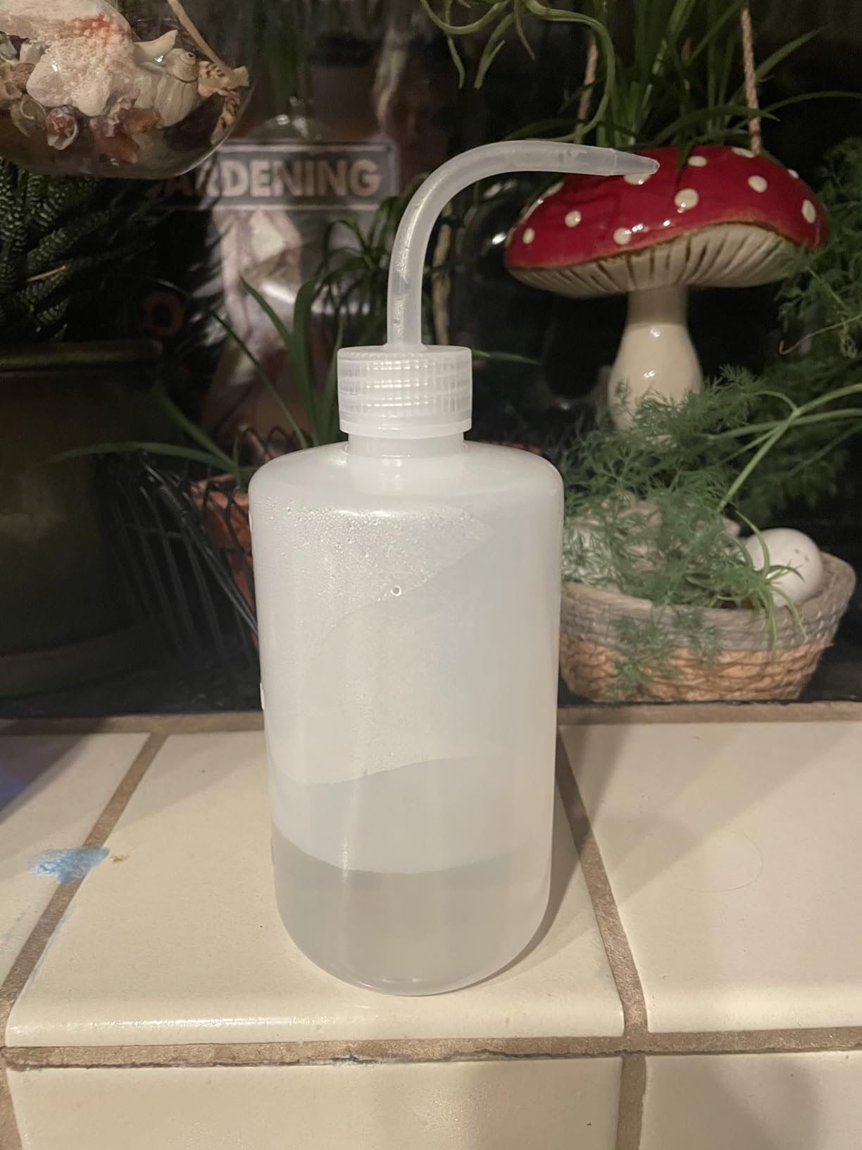 BEADNOVA Squeeze Bottle Plant Watering Bottle 250ml 8oz Small Wash Bottle Squeeze Plastic Small Watering Can for Indoor Plants Succulent Watering Can (1pc) customer photo 2
