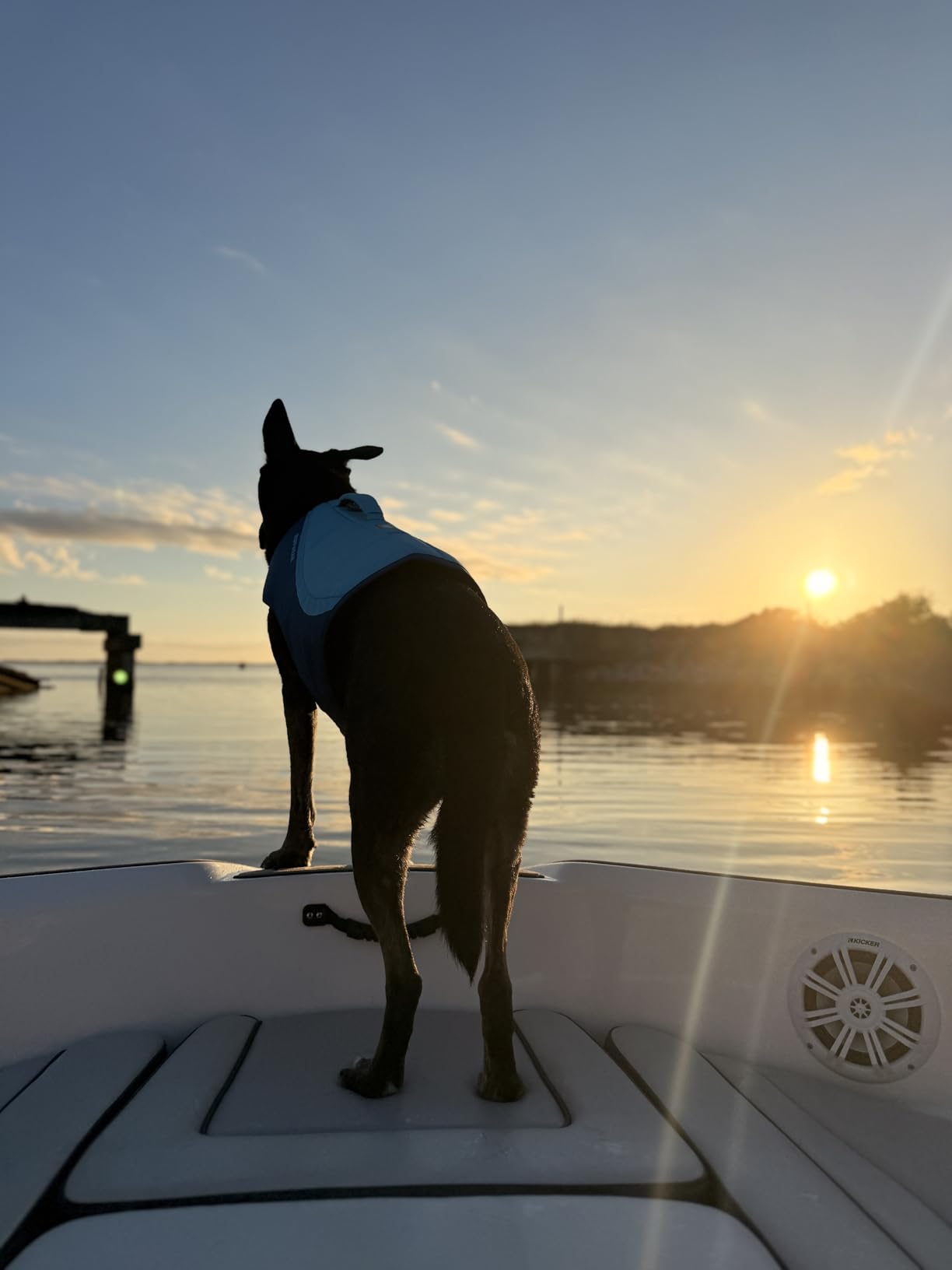 Ruffwear Float Coat Dog Life Jacket, Premium Buoyancy Swim Vest with Lift Handle, Secure Fit & Reflective Trim, Adjustable Flotation for Swimming, Boating, & Outdoor Adventures customer photo 2