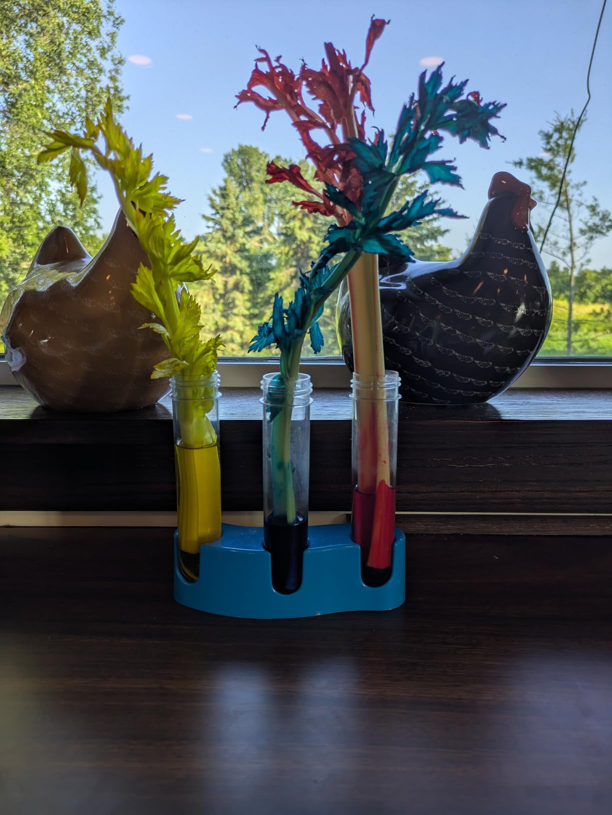 National Geographic Amazing Chemistry Set - Chemistry Kit with 100+ Science Experiments Including Crystal Growing and Reactions, Science Kit for Kids, STEM Gift for Boys and Girls (Amazon Exclusive) customer photo 2