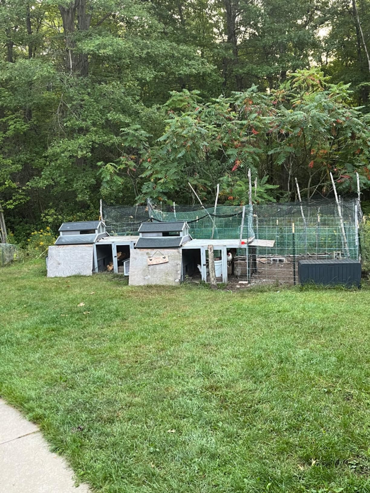 GUTINNEEN Large Chicken Coop 135