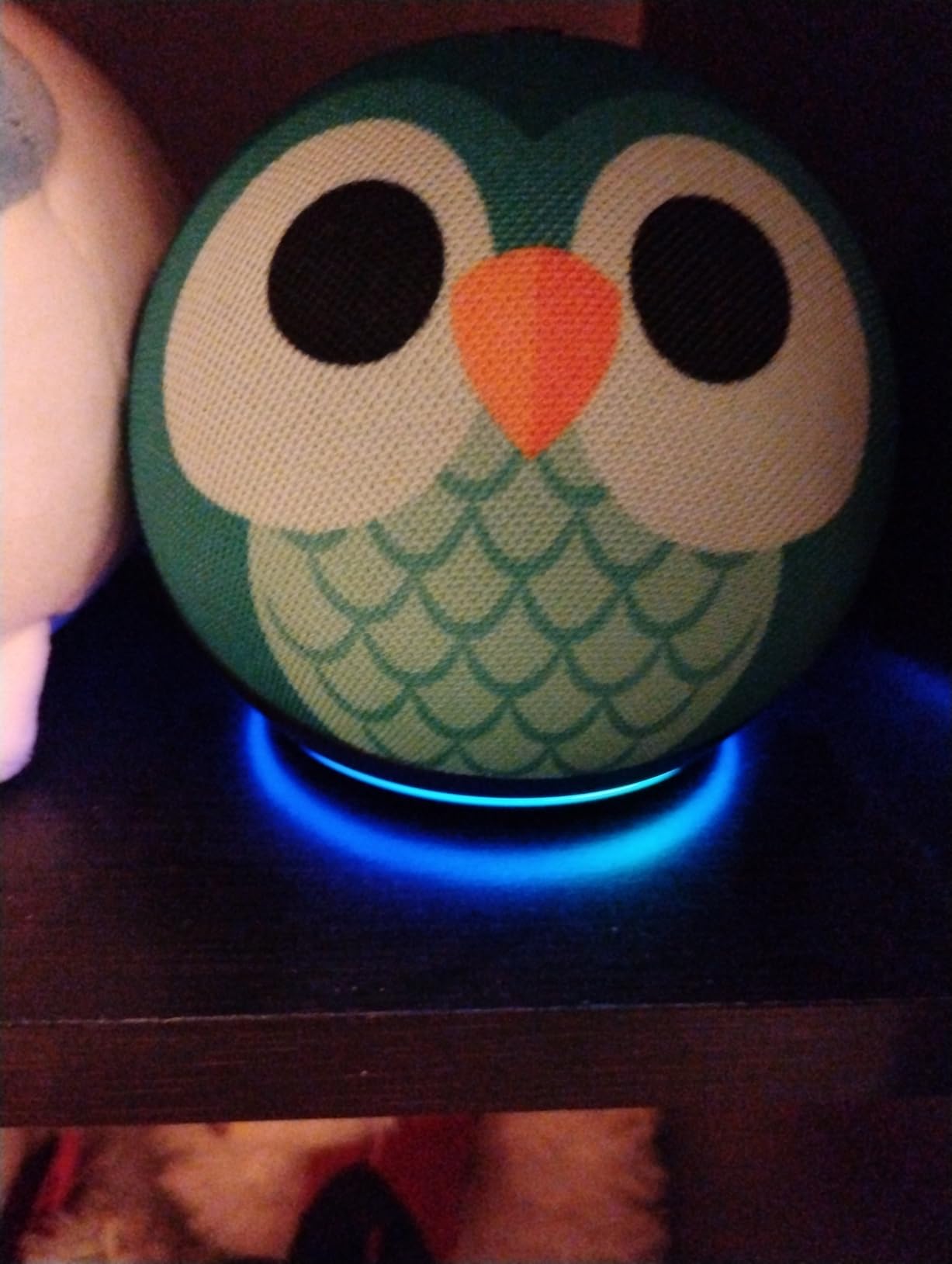 Amazon Echo Dot Kids (newest model), Smart speaker to enjoy age-appropriate audiobooks, interactive games and Alexa+ experiences to create and learn, Owl design customer photo 2