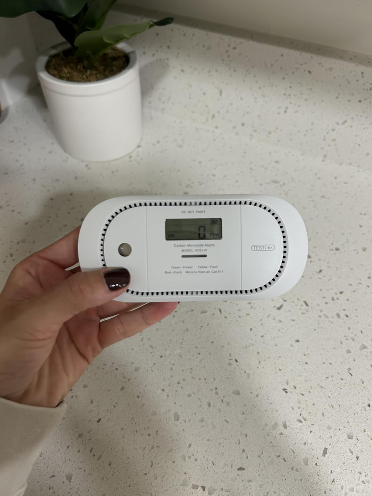 X-Sense Carbon Monoxide Detector Alarm with Digital LCD Display, Replaceable Battery CO Alarm Detector with Peak Value Memory, XC01-R customer photo 1