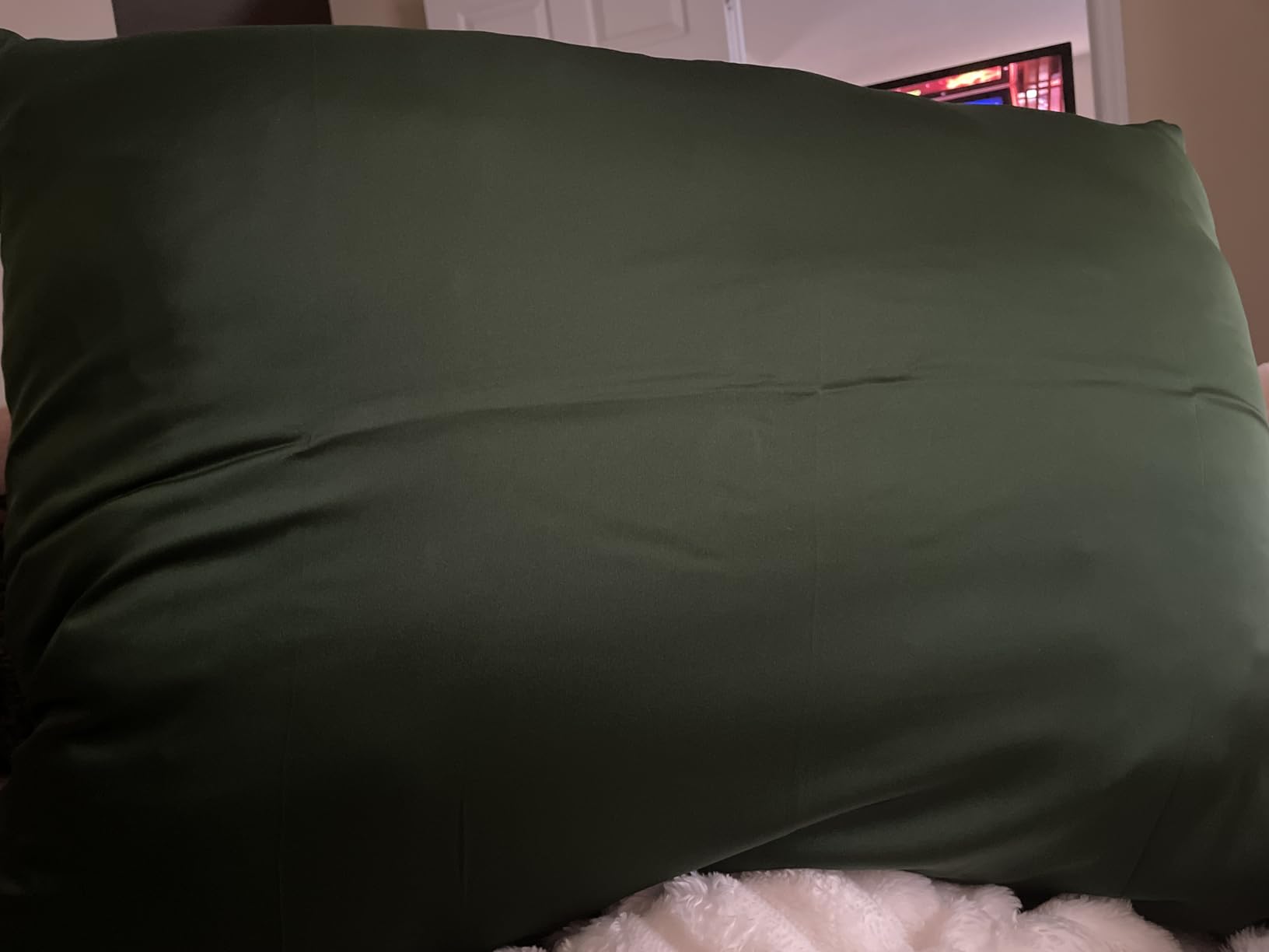 Mulberry Silk Pillowcase for Hair and Skin Standard Size 20