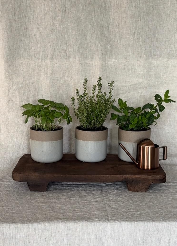 Watering Can, 10oz/300ml Stainless Steel Water Can Mini Watering Pot with Long Spout Small Metal Plants Water Pot for Indoor Plants Succulents Bonsai customer photo 1