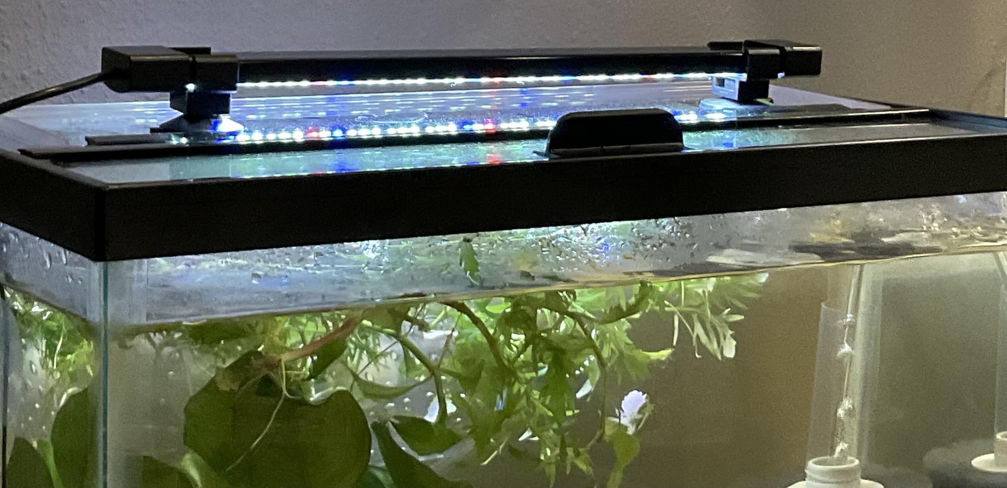 hygger 24/7 Mode Submersible Aquarium LED Light, Full Spectrum Hidden Fish Tank Light with 3 Rows Beads 7 Colors Auto On Off Sunrise-Daylight-Moonlight, Adjustable Timer Brightness 8W customer photo 2