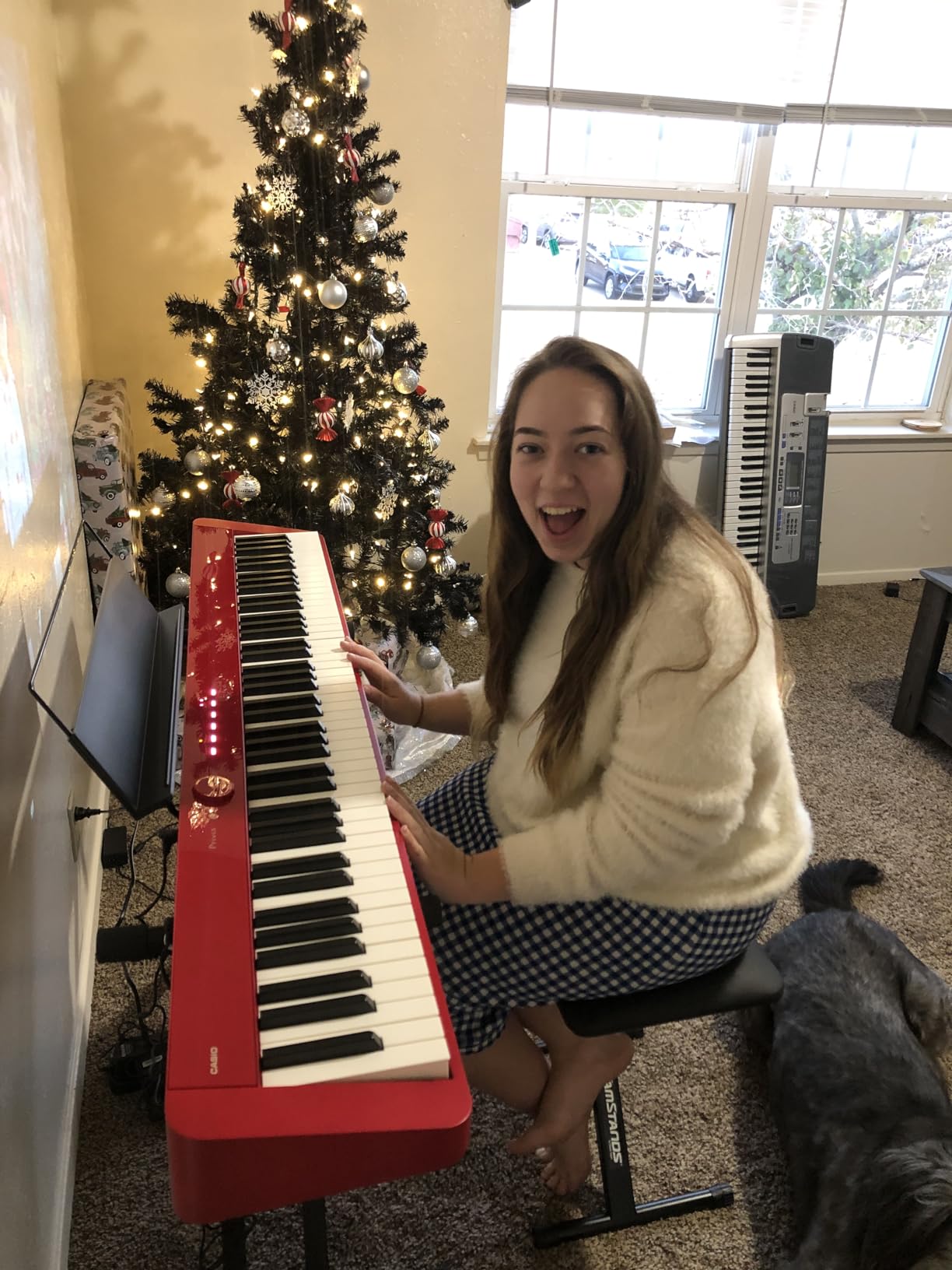 Casio PX-S1100 Privia Digital Piano - Black Bundle with Adjustable Stand, Bench, Sustain Pedal, and Accessories customer photo 2
