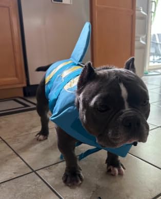 Fragralley Dog Life Jacket Shark, Dog Life Vest Adjustable Ripstop, Puppy Swimming Safety Vest with Superior Buoyancy & Rescue Handle customer photo 1