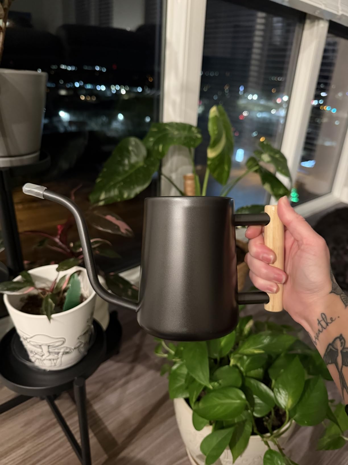 Watering Can for Indoor Plants, 35 oz/1000 ml Metal Stainless Steel Pot with Long Spout for House Plants Bonsai Outdoor Garden Flower Decorative (Black) customer photo 1