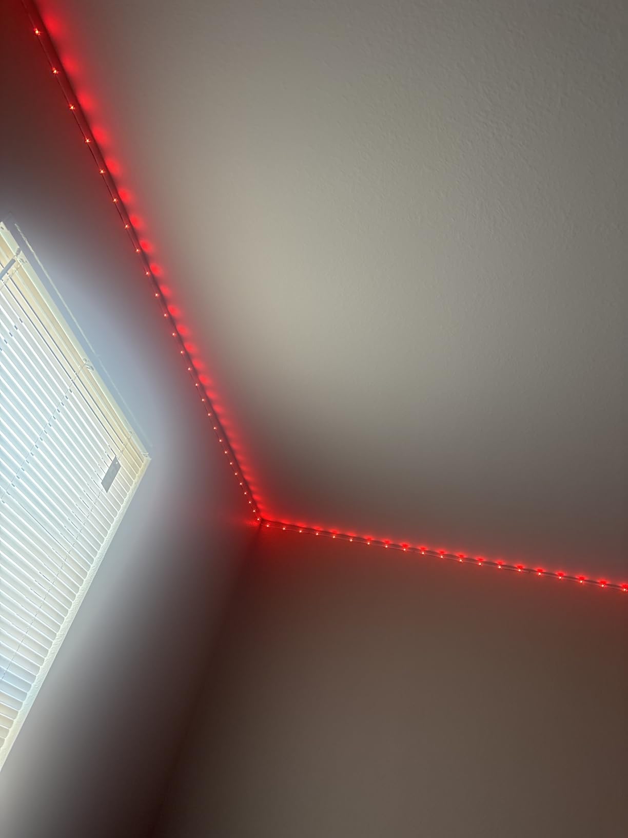 KSIPZE 100ft Led Strip Lights RGB Music Sync Color Changing Led Lights with Smart App Control Remote Led Lights for Bedroom Room Lighting Flexible Home Decor customer photo 2