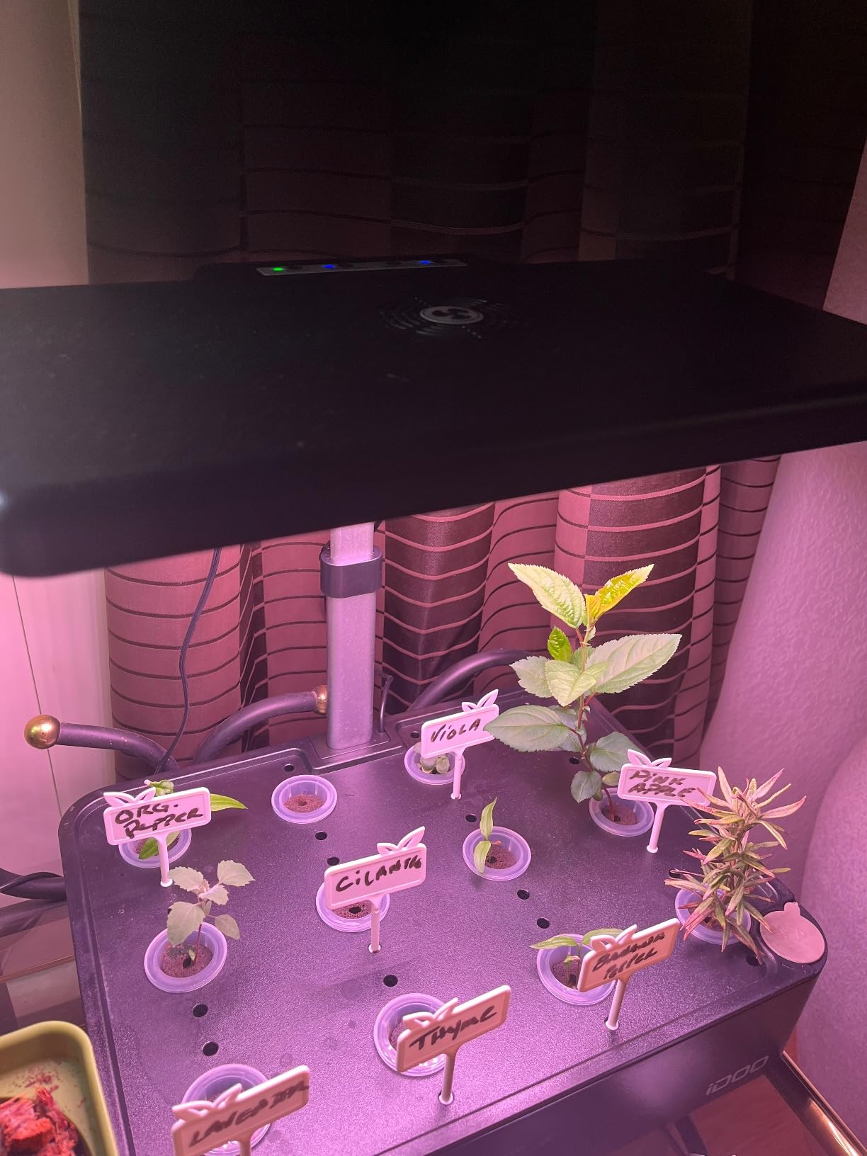 iDOO Hydroponics Growing System Kit 12Pods, Christmas Gifts for Women Mom, Herb Garden Indoor with LED Grow Light for Home, Built-in Fan, Auto-Timer, Adjustable Height Up to 11.3