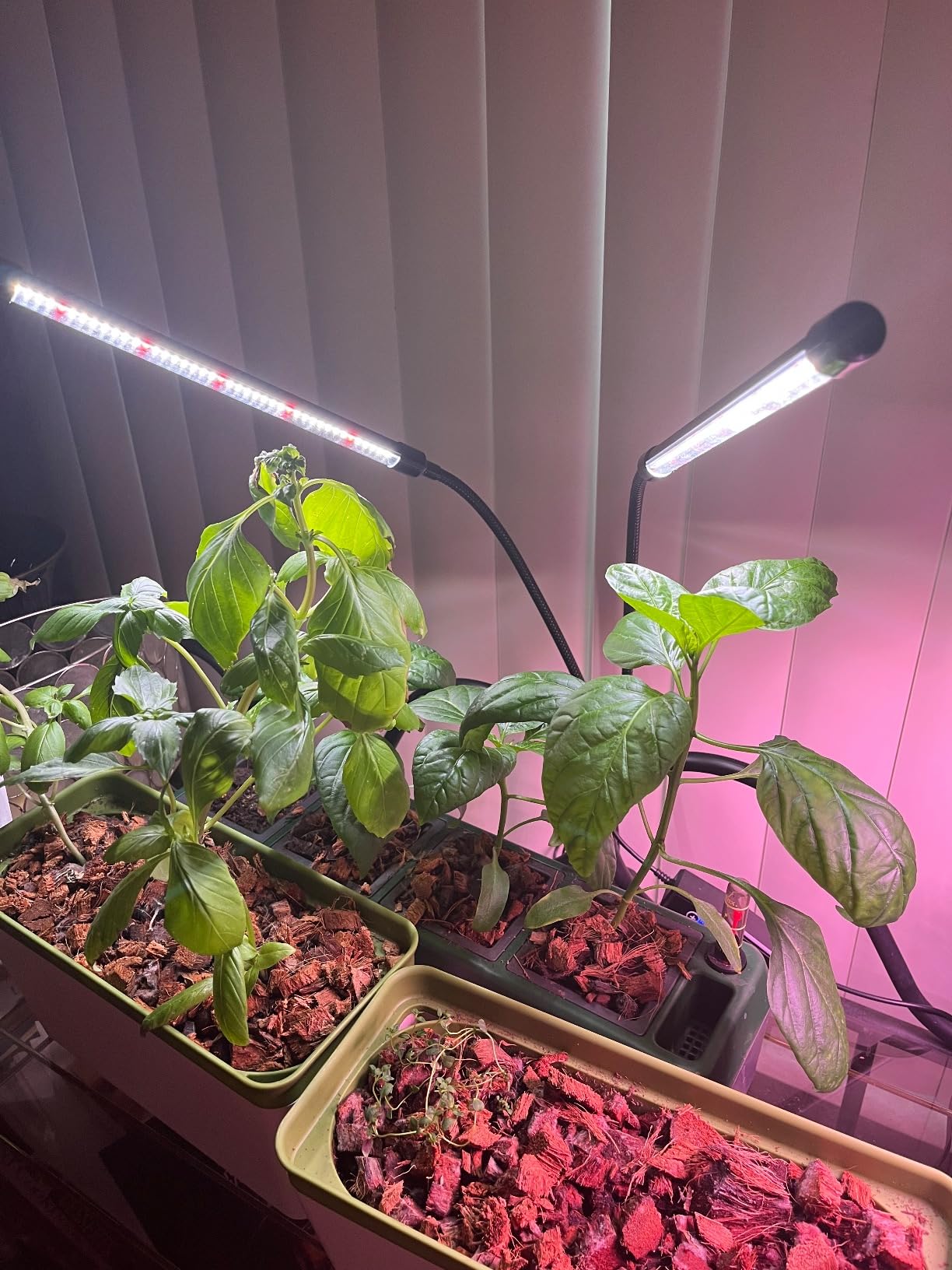 iDOO Hydroponics Growing System Kit 12Pods, Christmas Gifts for Women Mom, Herb Garden Indoor with LED Grow Light for Home, Built-in Fan, Auto-Timer, Adjustable Height Up to 11.3