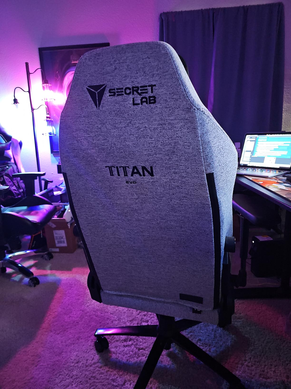 Secretlab Titan Evo Plush Pink Gaming Chair - Ergonomic and Heavy Duty Computer Chair with 4D Armrests, Magnetic Head Pillow and Lumbar Support - Big and Tall Gaming Chair 395 lbs - Pink - Fabric customer photo 2