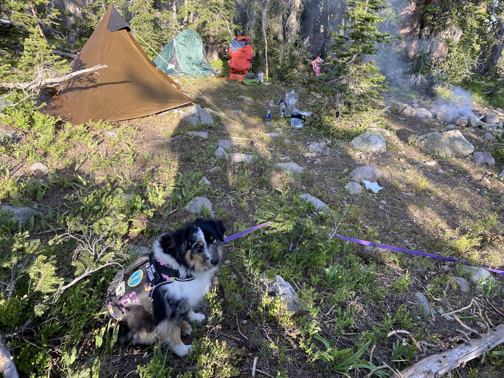 Night Cat Ultralight Tent 1 Person for Professional Backpacker Hiker 2 LBS Only Lanshan Backpacking Bivvy Ground Tent Heavy Rain Waterproof Trekking Pole Not Included customer photo 1