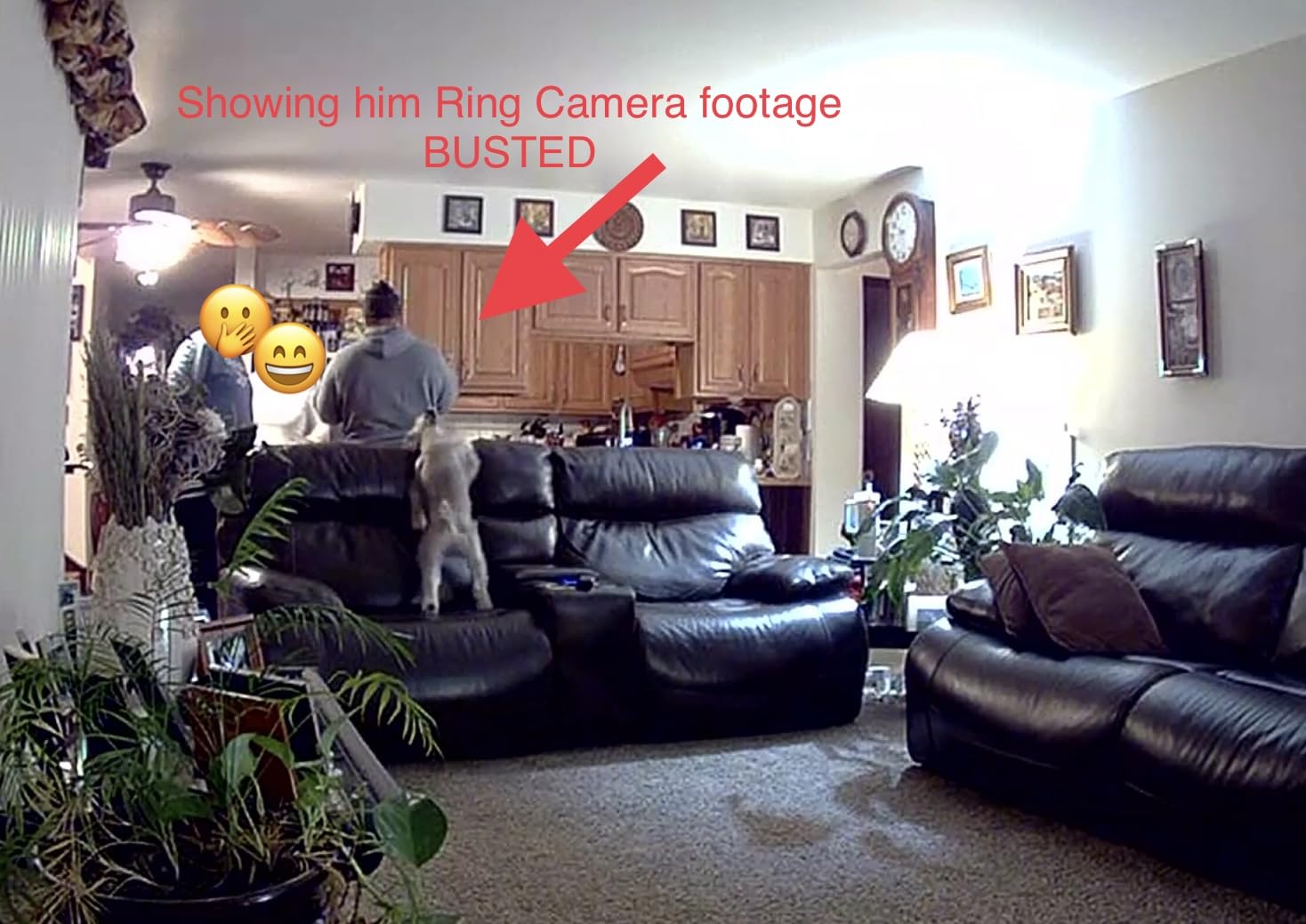 Ring Indoor Cam, Home or business security in 1080p HD video, White customer photo 1
