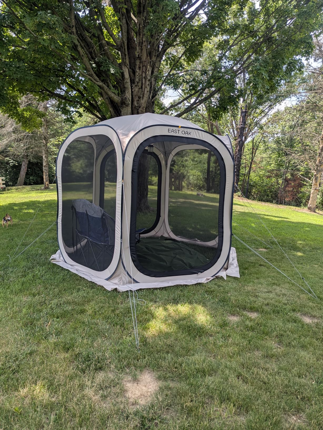 East Oak Pop up Screen Tent with Mosquito Netting, Portable Screen House Canopy Shelter, 10 x 10 FT Instant Screen Gazebo & UPF 50+ UV Protection for Patio, Backyard, Deck & Outdoor Activities, Beige customer photo 2