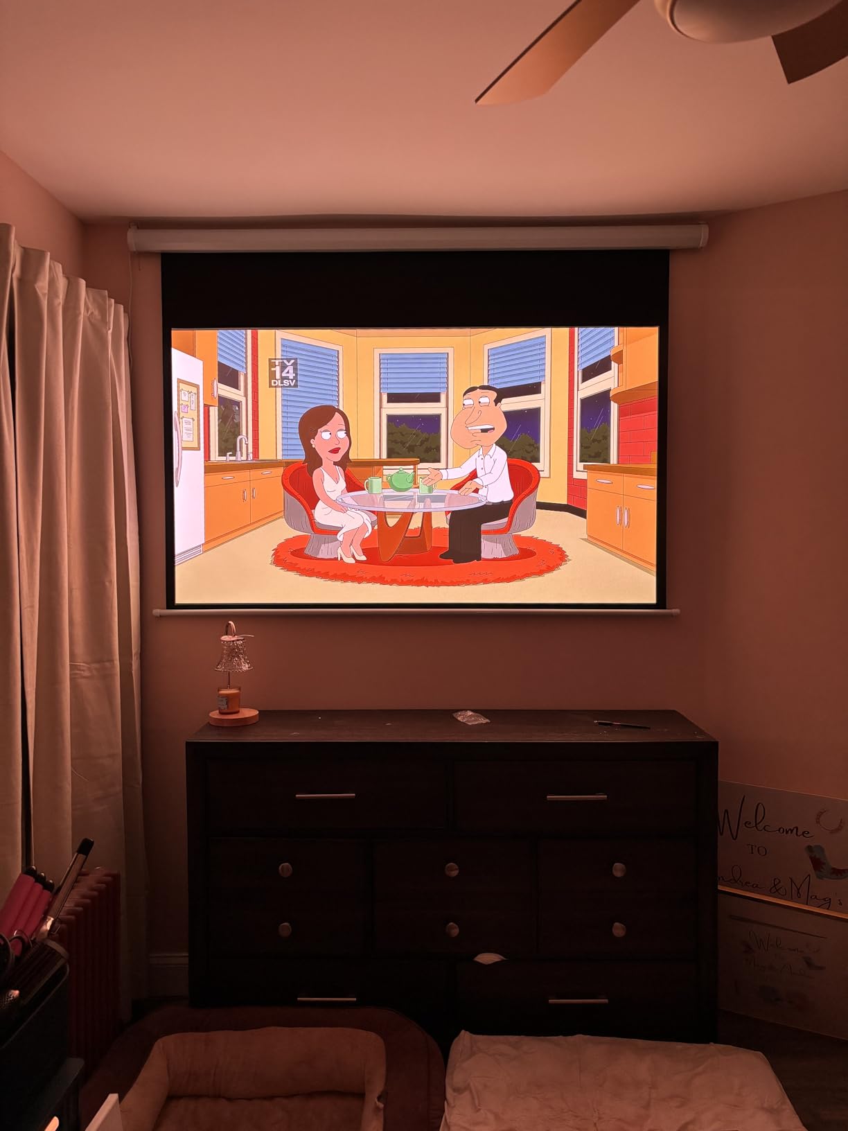 DINAH 120 Inch Electric Projector Screen with Remote, Automatic Air Indoor Drop Down, Motorized 4K 3D HD Projection for Movies customer photo 2
