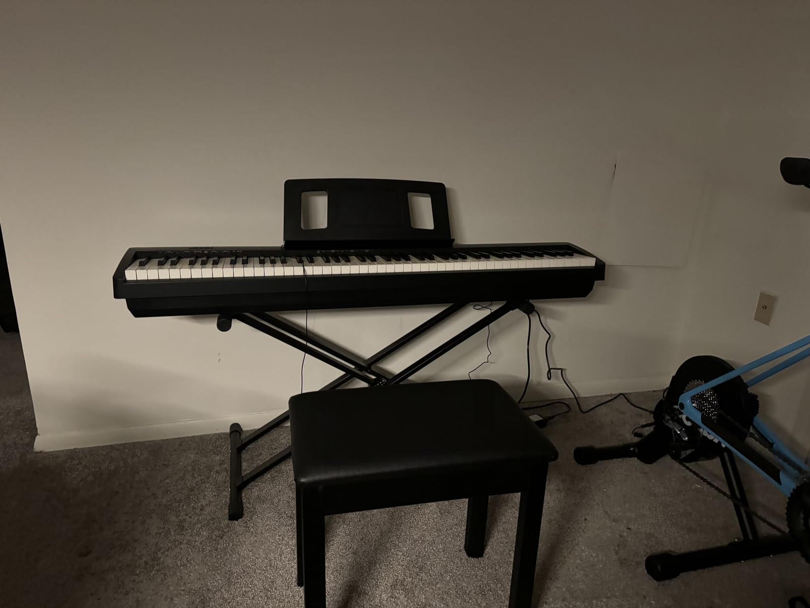 Roland FP-10 88-Key Digital Piano Bundle with Adjustable Stand, Bench, Sustain Pedal, Instructional Book, Online Lessons, Instructional DVD, and Austin Bazaar Polishing Cloth customer photo 1