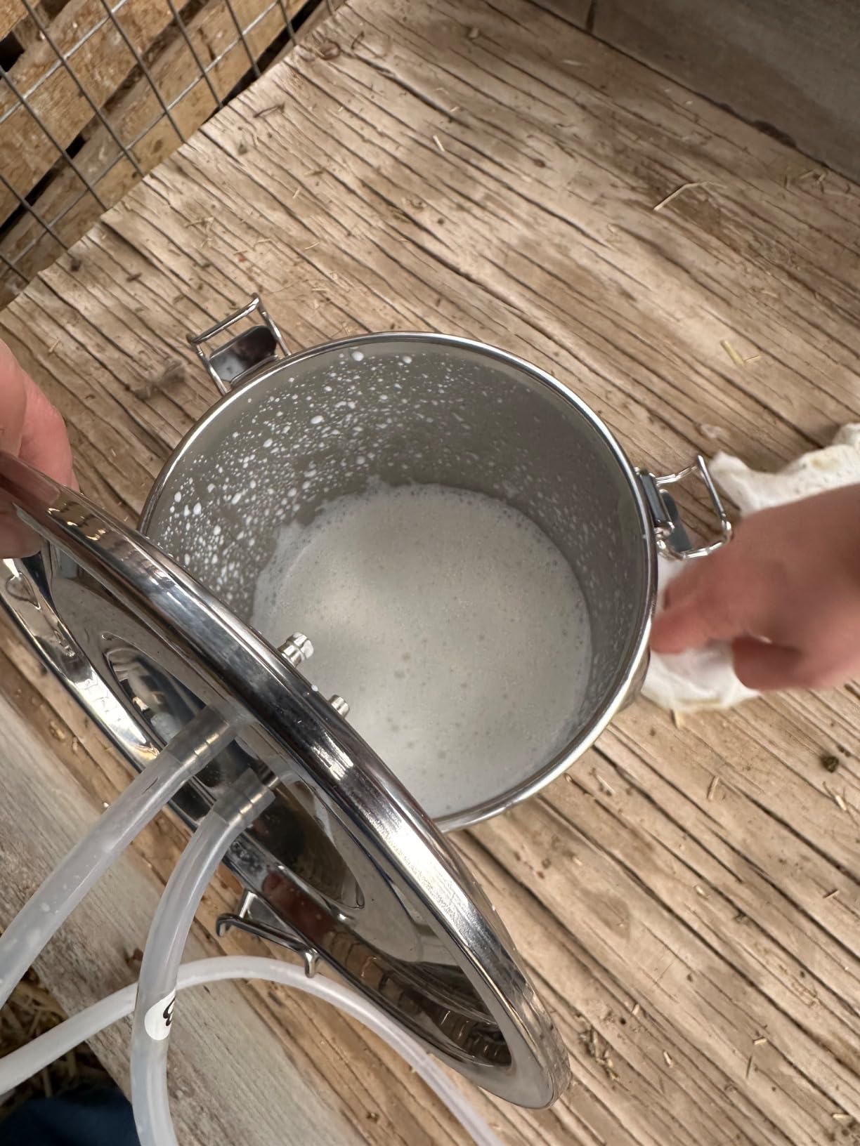 2025 Upgrade 3L Goat Milking Machine, Continuously Adjustable Suction Pulsation Vacuum Electric Milker, Portable Livstock Milking Machine with Stainless Bucket(US Plug) customer photo 1