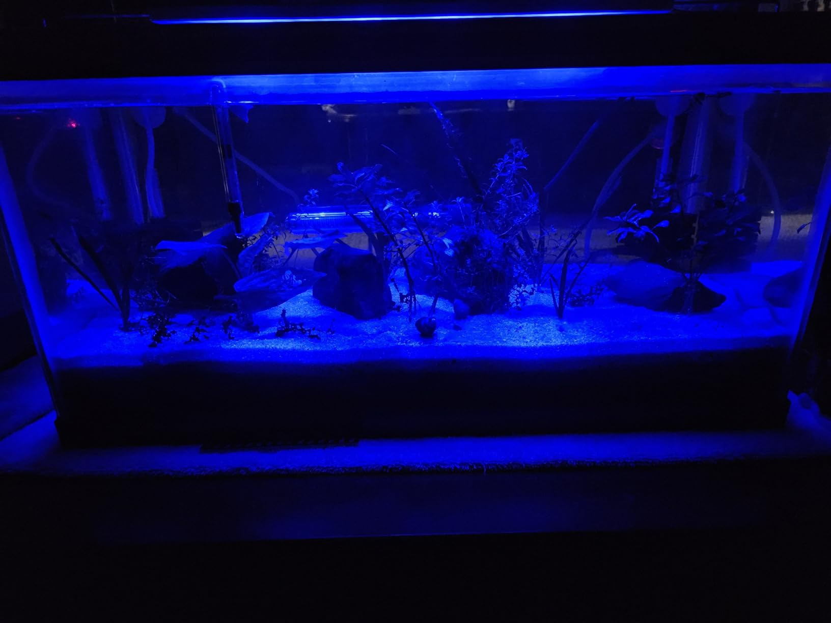 NICREW C10 Plants LED Aquarium Light, 12-18 in, 9 Watts, Full Spectrum Fish Tank Light with Timer, Day and Night Cycle, Brightness Adjustable customer photo 1