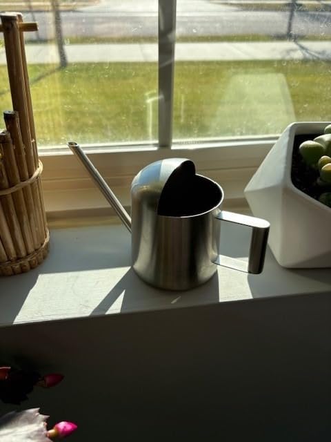 Watering Cans, 10oz/300ml Stainless Steel Long Spout Small Watering Sprinkling Pot, Indoor Outdoor Garden Flower Succulents Plant Watering Cans, Stylish Gardening Decoration(Bronze) customer photo 2