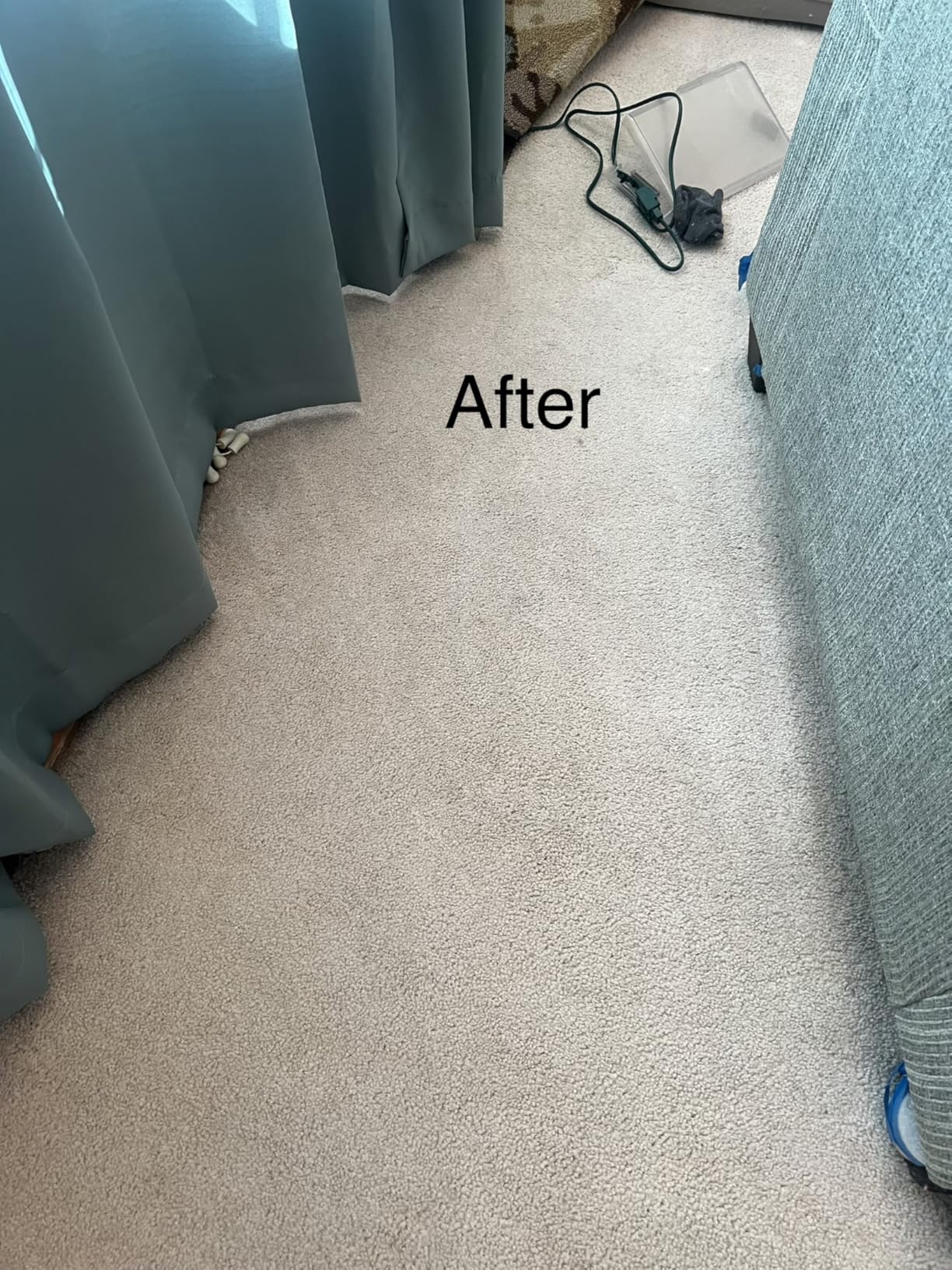 Hoover PowerDash Pet+ Compact Carpet Cleaner Machine, Lightweight Carpet Shampooer Machine customer photo 1