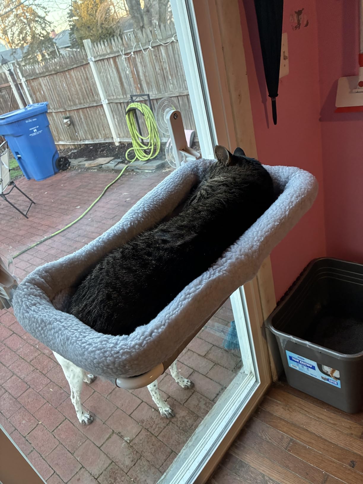 Zakkart Foldable Cat Hammock for Window - Cordless, Embeded Machine Washable Bed, Robust Metal Frame - Cat Window Perch for Large Cats and Kittens (White Bolster Bed, Medium) customer photo 2