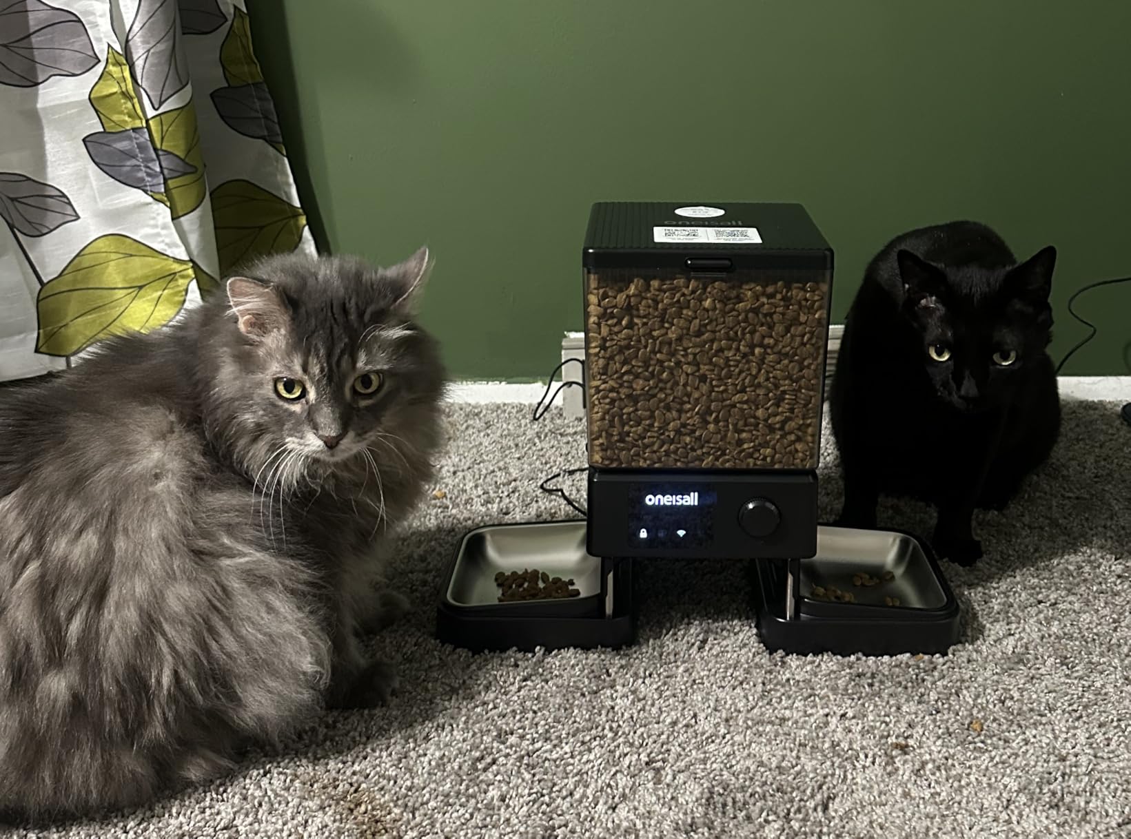 oneisall Automatic Cat Feeder with 5G WiFi, Automatic Cat Food Dispenser for 2 Cats Small Pets, 20 Cups/5L Timed Dry Food Dispenser with App Control customer photo 1