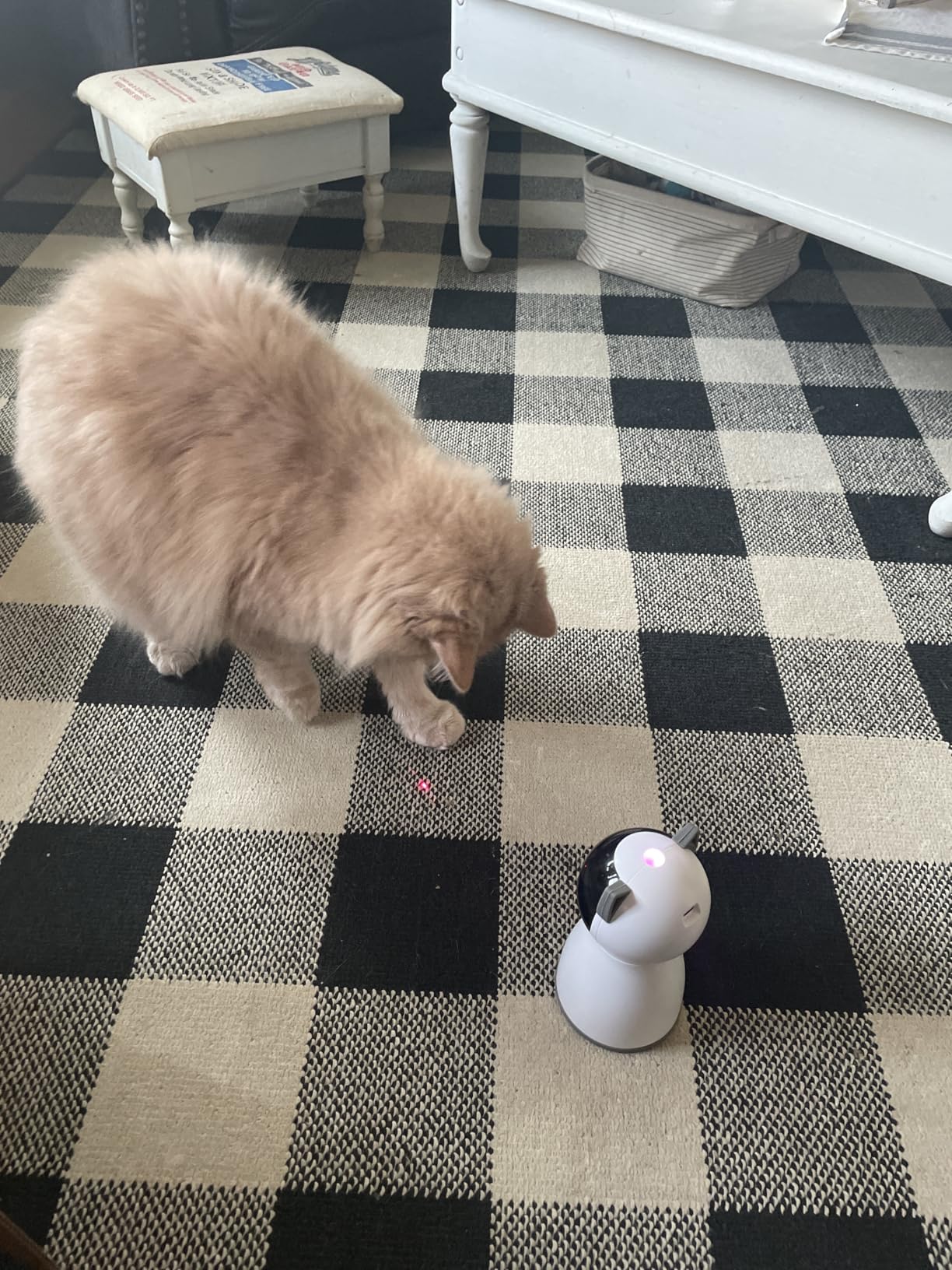 YVE LIFE Laser Cat Toys for Indoor Cats, The 4th Generation Real Random Trajectory Motion Activated Rechargeable Automatic Cat Laser Toy, Interactive Cat Toys for Bored Indoor Adult Cats/Kittens (White) customer photo 1