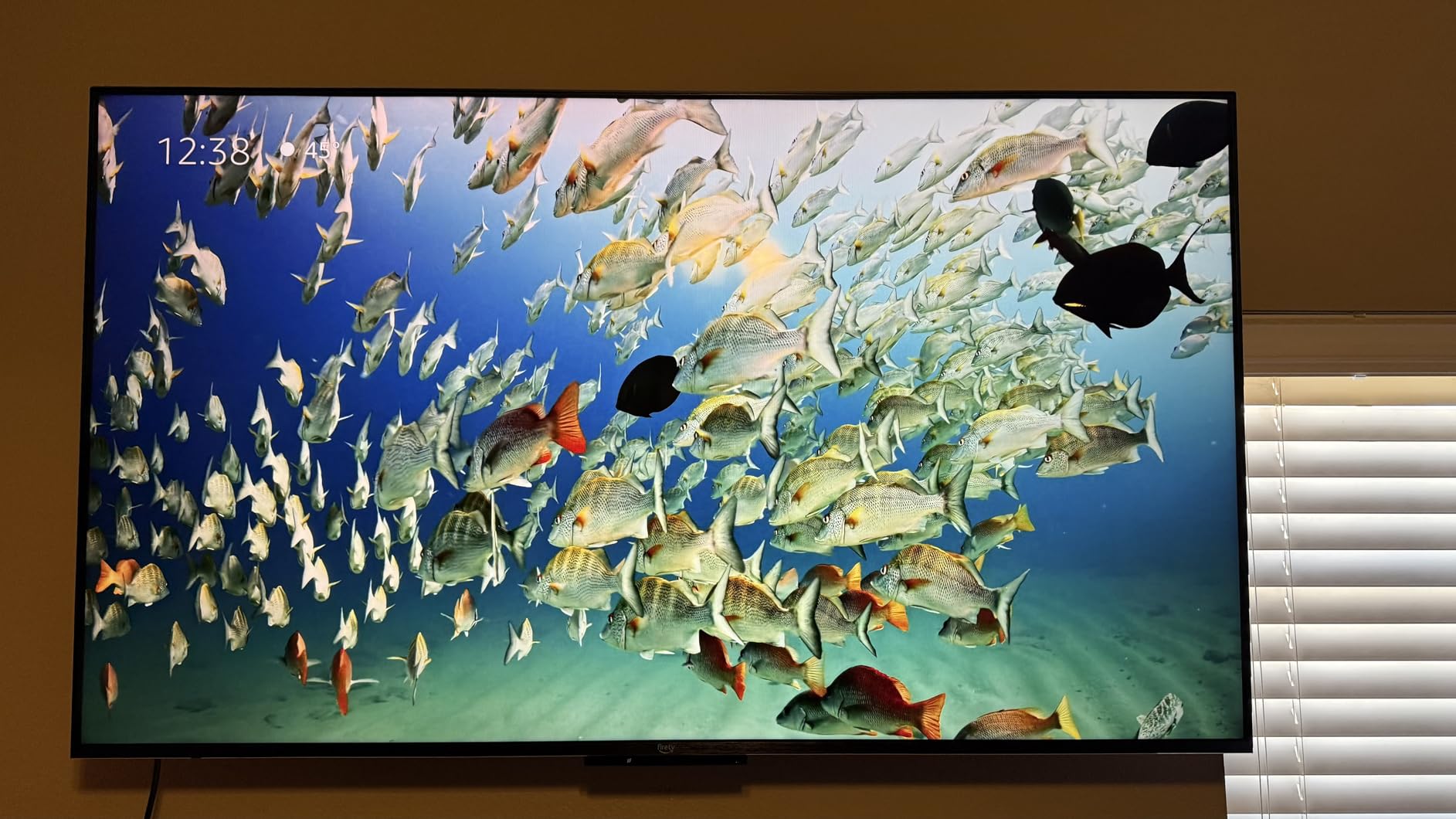 Amazon Fire TV 75