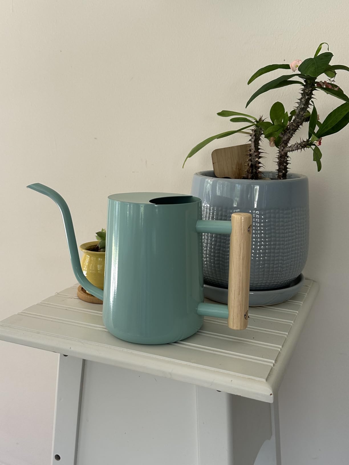 Plant Watering Can,35oz Metal Watering Can,Stainless Steel Indoor Plants with Long Curved Spout,Small Bonsai Outdoor Garden Modern Decorative(Black) customer photo 2