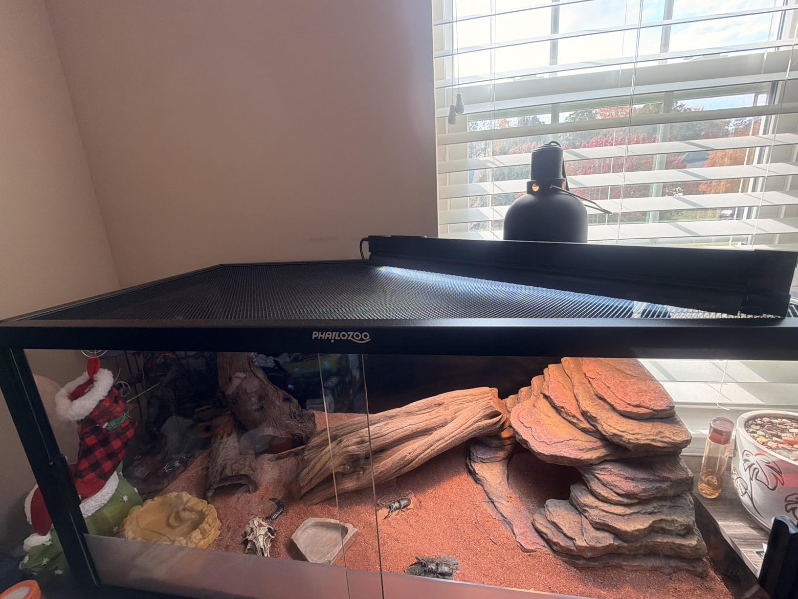 Phailozoo Stackable Reptile Enclosure, 85 Gallon Reptile Tank for Bearded Dragon, Snake, Ball Python, Colorful Aluminum Frame & Front Opening Tempered Glass Door with Handles for Easy Maintenance customer photo 2