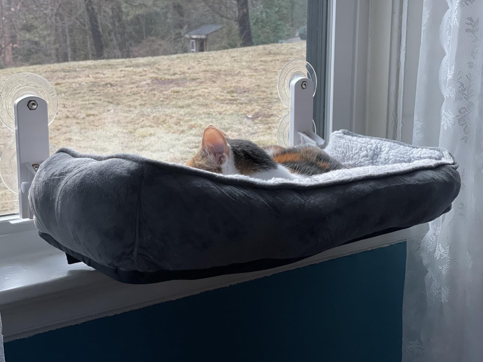 Zakkart Foldable Cat Hammock for Window with Bolster - Cordless, Fold-Up, Three-Side Bolstered Machine Washable Fluffy Bed, Robust Metal Frame - Cat Window Perch for Large Cats and Kittens - Gray customer photo 1
