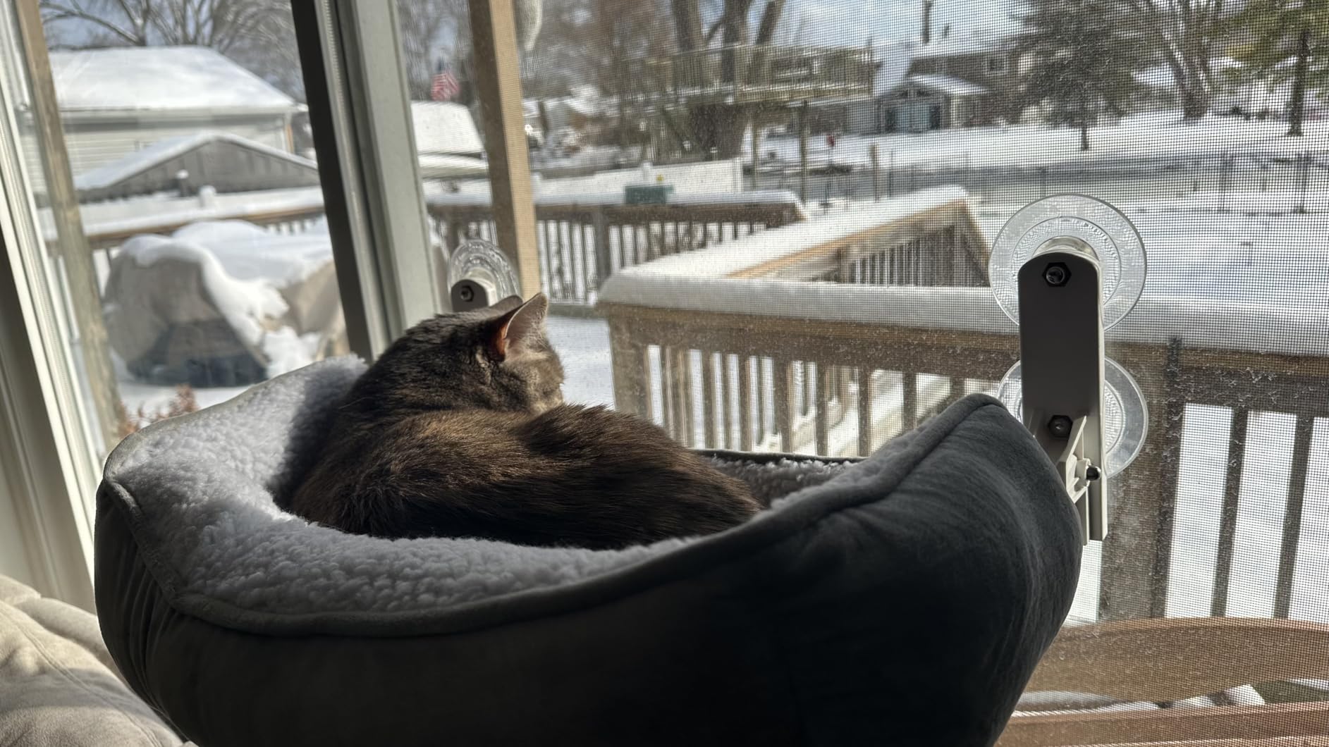 Zakkart Foldable Cat Hammock for Window with Bolster - Cordless, Fold-Up, Three-Side Bolstered Machine Washable Fluffy Bed, Robust Metal Frame - Cat Window Perch for Large Cats and Kittens - Gray customer photo 2