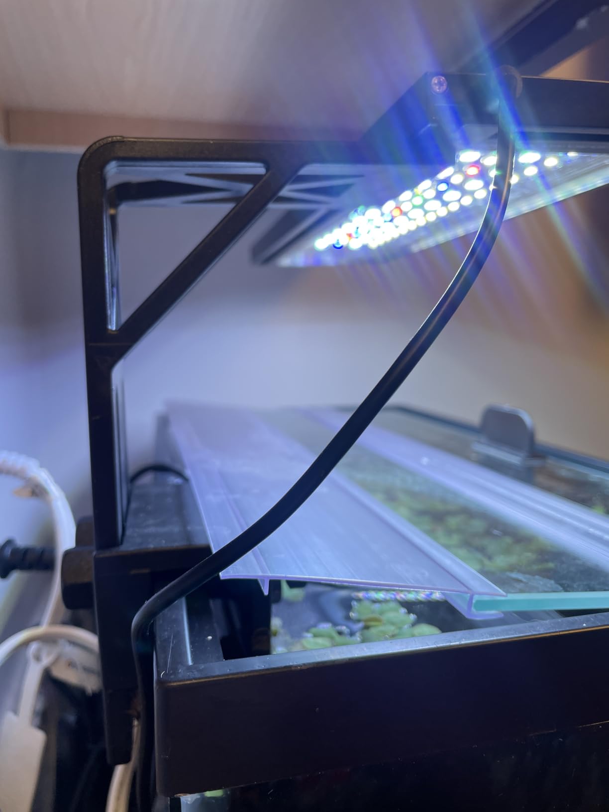 SEAOURA Clip On Aquarium Light for Plants-24/7 Cycle Fish Tank Light with Timer, Full Spectrum+7 Colors Mode, Auto On/Off, Adjustable Brightness and Height, 12W (7inch for 7-12 inch Tank) customer photo 2