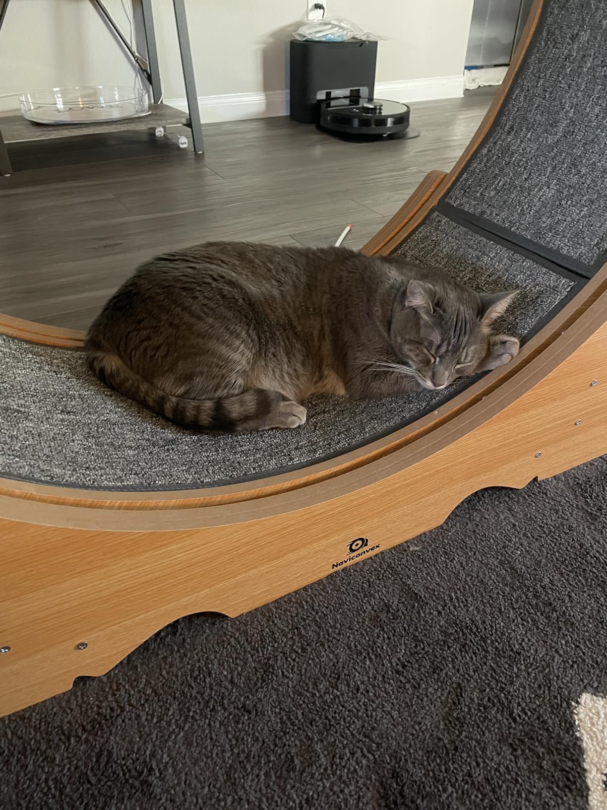 Cat Wheel, 43