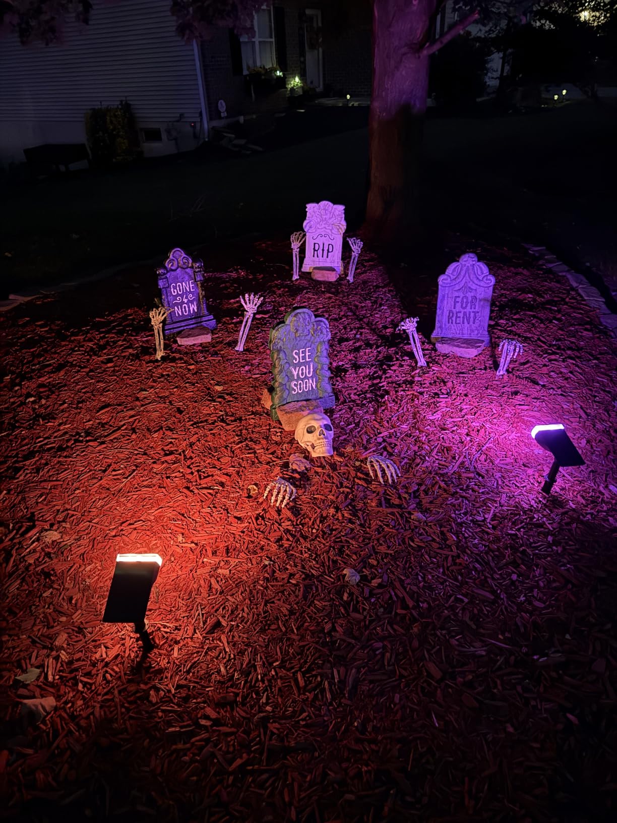 Linkind Smart Solar Lights Outdoor SL5 with Motion Sensor, APP Control Color Changing Solar Spot Lights Outdoor, Easter Decorations, IP65 Landscape Lighting for Yard, Garden, Path(6 Pack) customer photo 2