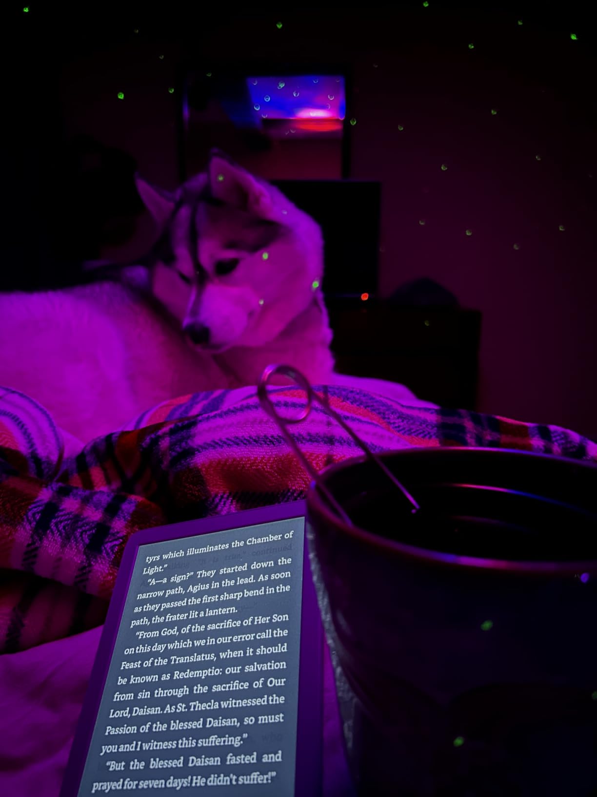 Kindle 16 GB (newest model) - Lightest and most compact Kindle, now with faster page turns, and higher contrast ratio, for an enhanced reading experience - Black customer photo 1