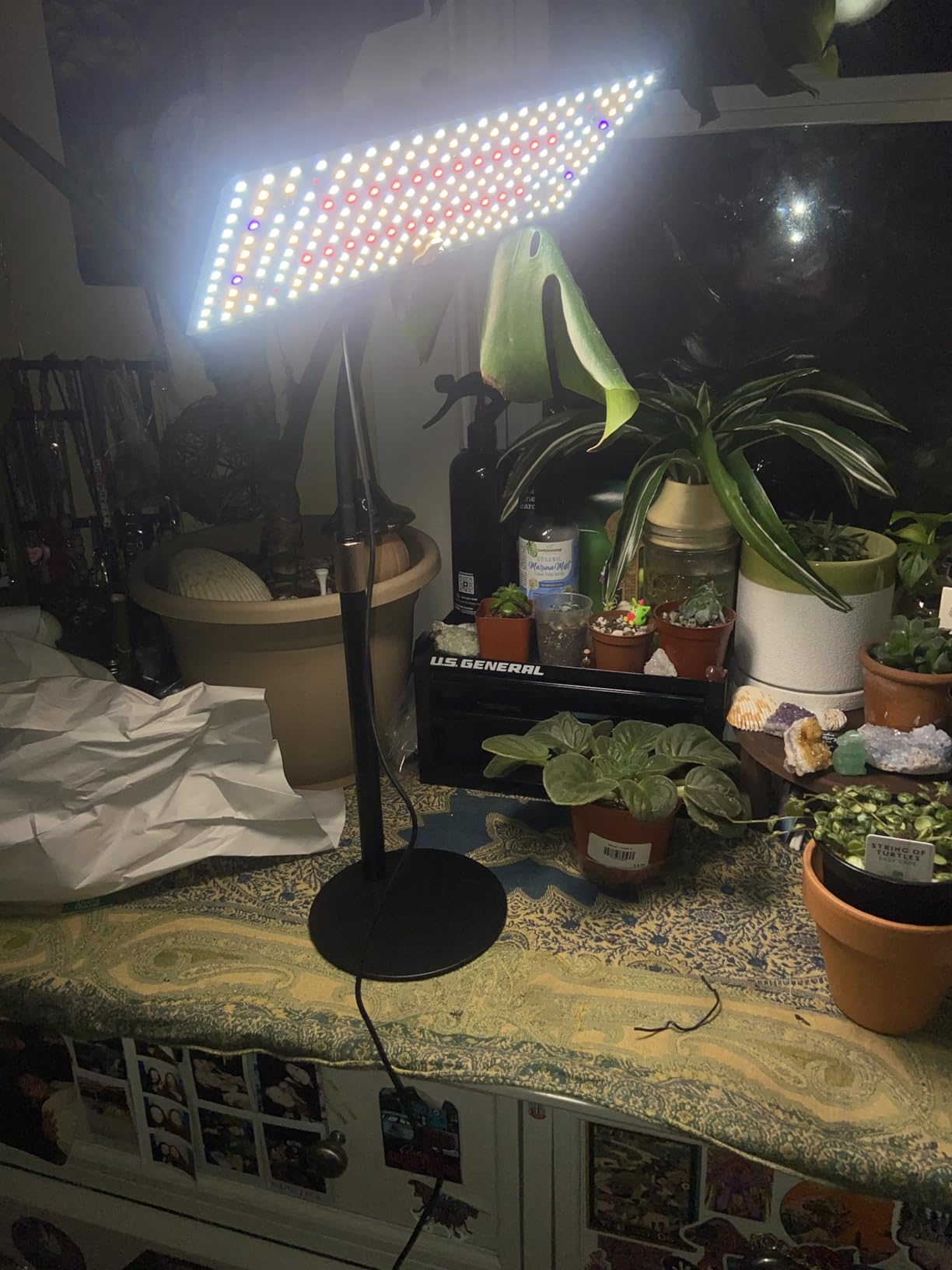 LBW Desk Grow Light, Full Spectrum Plant Light for Indoor Plants, Grow Lamps with 4/8/12H Timer, 10