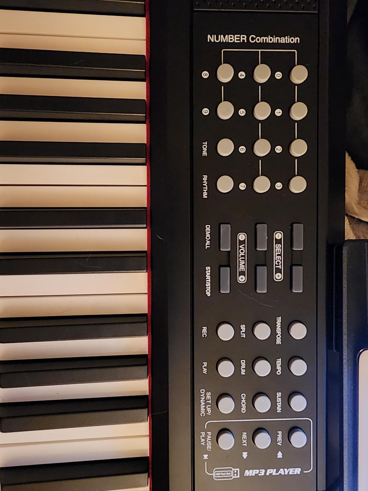 STRICH 88 Keys Weighted Keyboard with Sustain Pedal, Hammer-Action Digital Piano, 2x15W Built-In Speakers, Full-size Electric Piano Keyboard Supports USB-MIDI/Wireless Connect, SDP-120 customer photo 2