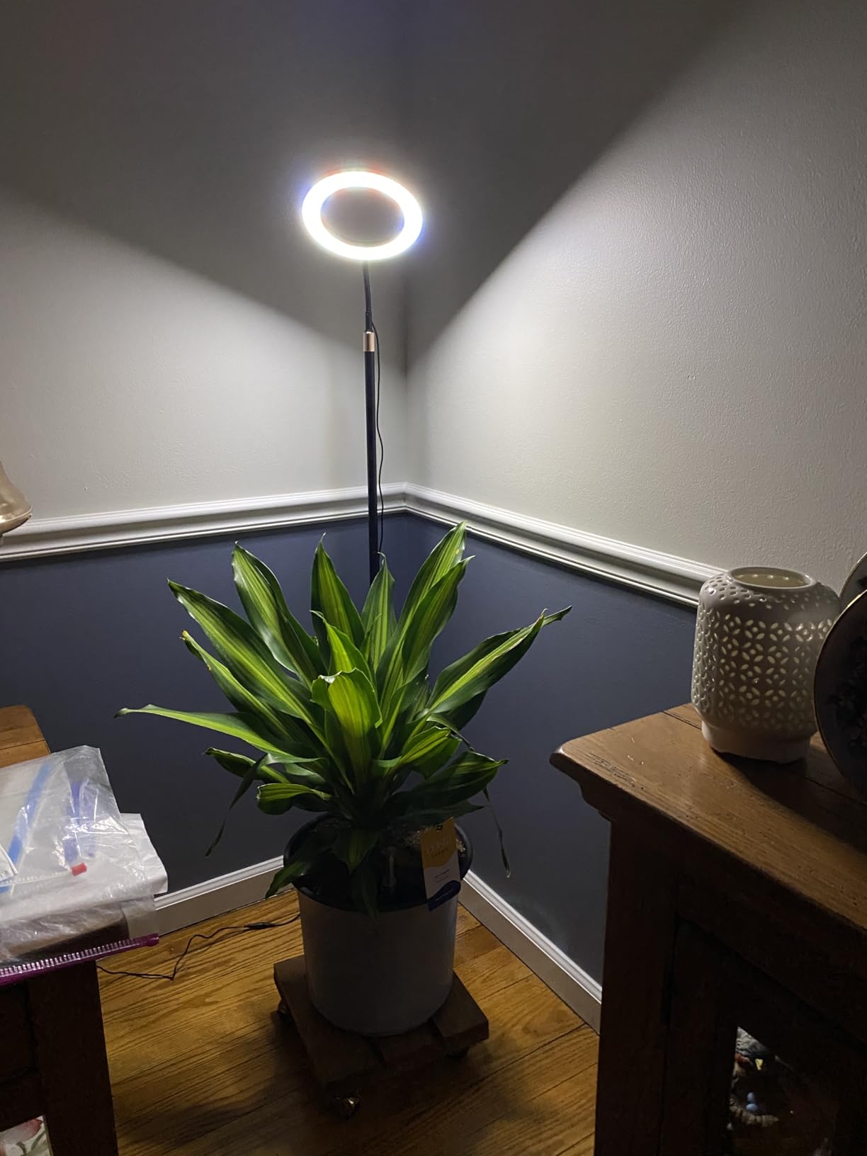 LBW Floor Grow Light with Stand for Large & Tall Indoor Plants, Full Spectrum Floor Plant Light, Auto On/Off Timer 6/8/12/16H, 5-Level Dimmable, 3 Lighting Modes, Adjustable Height up to 68'' customer photo 2
