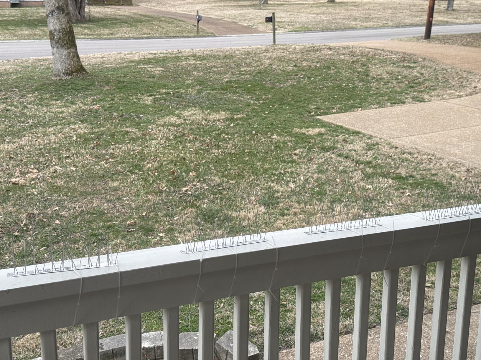PANGCH Bird Spikes,Stainless Steel Bird Spikes Metal Bird Spikes Fence Spikes Easy to Install - 5 Strips 4.1 Feet Coverage customer photo 1