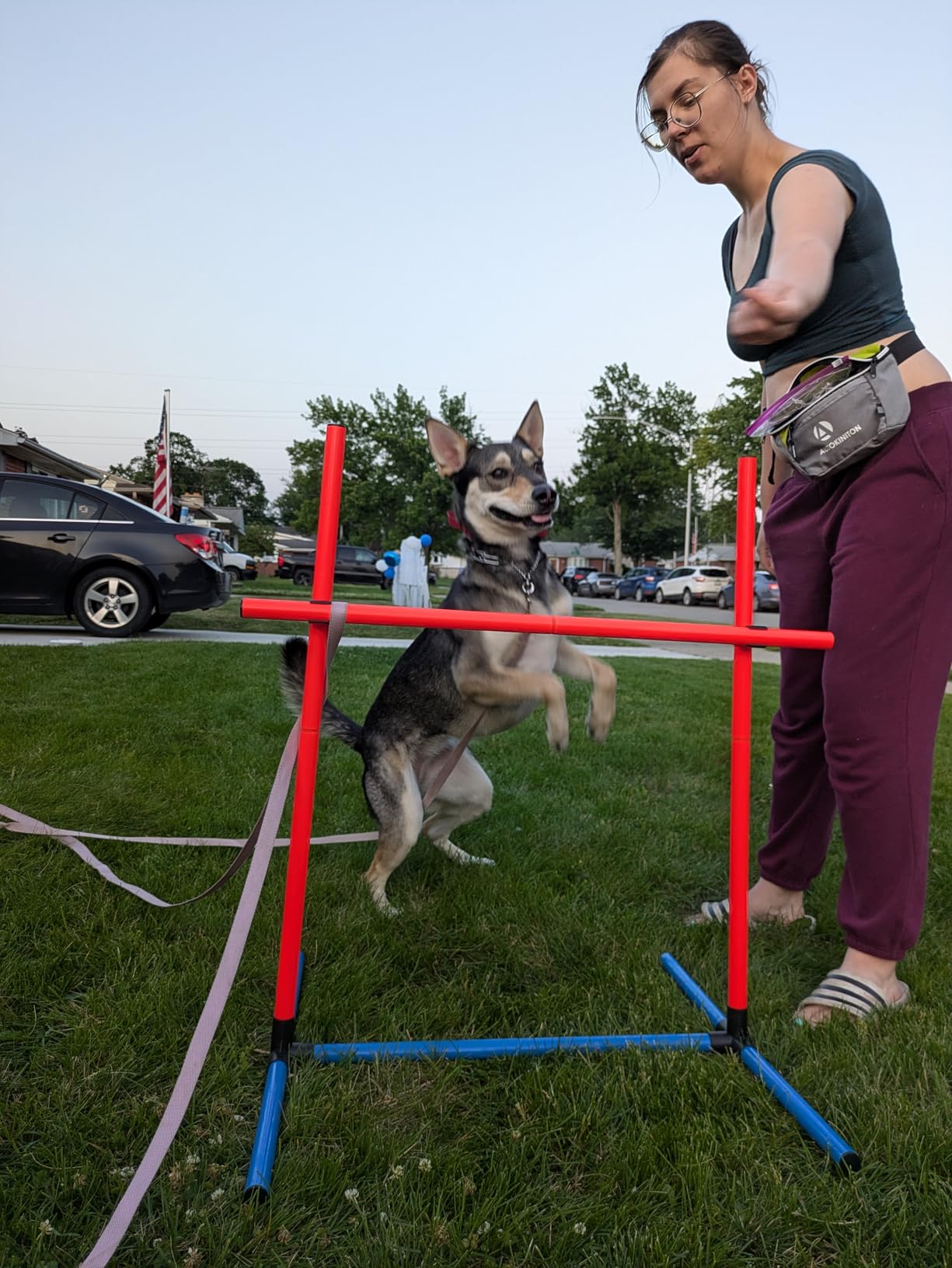 4 Sets Pets Agility Training Equipment, Adjustable Dog Hoop, Dog Jump, Weave Poles and Pause Box,with Independent Packaging(4 Sets) customer photo 1