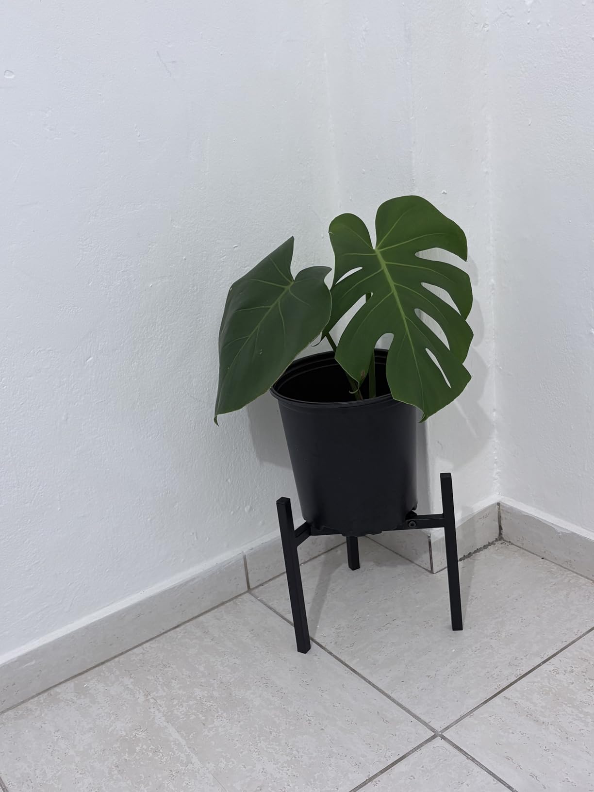 Airpark Plant Stand Indoor Adjustable, Metal Modern Plant Stands, Heavy Duty Stable Plant Pot Flower Holder Indoor Outdoor Corner, Fit 8 9 10 11 12 inch Pots, Black (Pot & Plant Not Included) customer photo 2